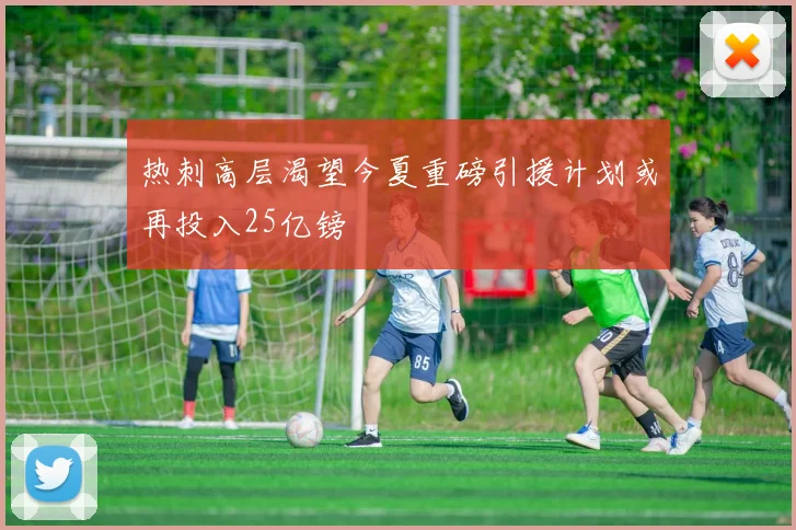 热刺高层渴望今夏重磅引援计划或再投入25亿镑