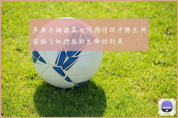 多库与梅赫莱共同期待孩子降生并安排飞机迎接新生命的到来
